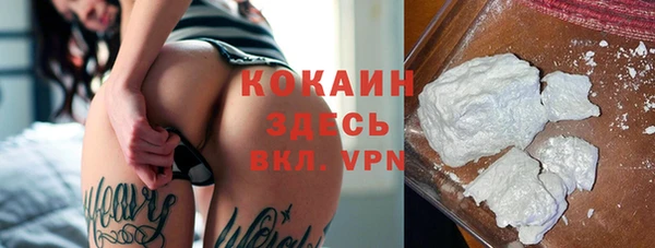 PSILOCYBIN Михайловка