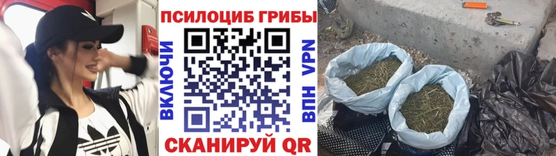 магазин    Морозовск  Псилоцибиновые грибы GOLDEN TEACHER 
