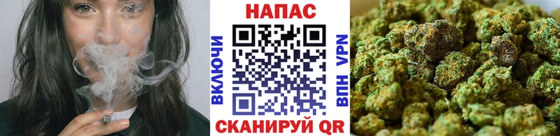 наркотики  shop телеграм  Бошки марихуана White Widow  Морозовск 